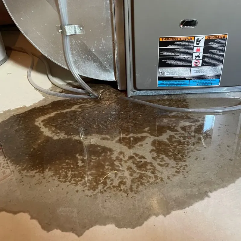 Pipe Burst and Leak Restoration in Perry County, MO